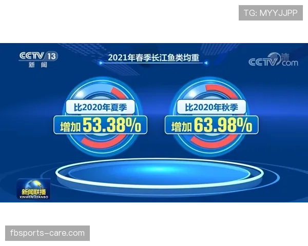 比赛暂停规则详解：裁判何时终止比赛及恢复流程